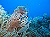 IMG_3324.JPG