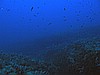 IMG_3325.JPG