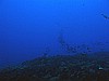 IMG_3327.JPG