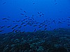 IMG_3328.JPG