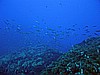 IMG_3329.JPG