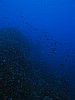 IMG_3330.JPG