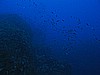 IMG_3331.JPG
