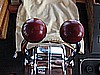 IMG_3337.JPG