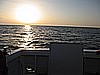 IMG_3341.JPG