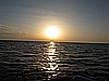 IMG_3349.JPG