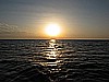 IMG_3350.JPG