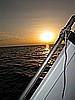 IMG_3358.JPG
