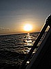 IMG_3359.JPG
