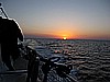 IMG_3371.JPG