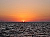 IMG_3374.JPG