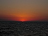 IMG_3379.JPG