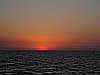 IMG_3381.JPG