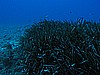 IMG_3404.JPG