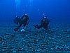 IMG_3407.JPG