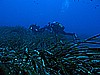IMG_3411.JPG