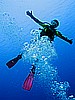 IMG_3426.JPG
