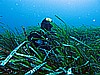 IMG_3429.JPG