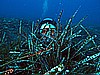 IMG_3430.JPG
