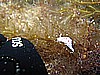 IMG_3446.JPG
