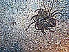 IMG_3450.JPG