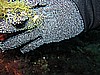 IMG_3451.JPG