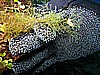 IMG_3452.JPG