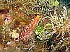 IMG_3459.JPG