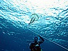 IMG_3464.JPG