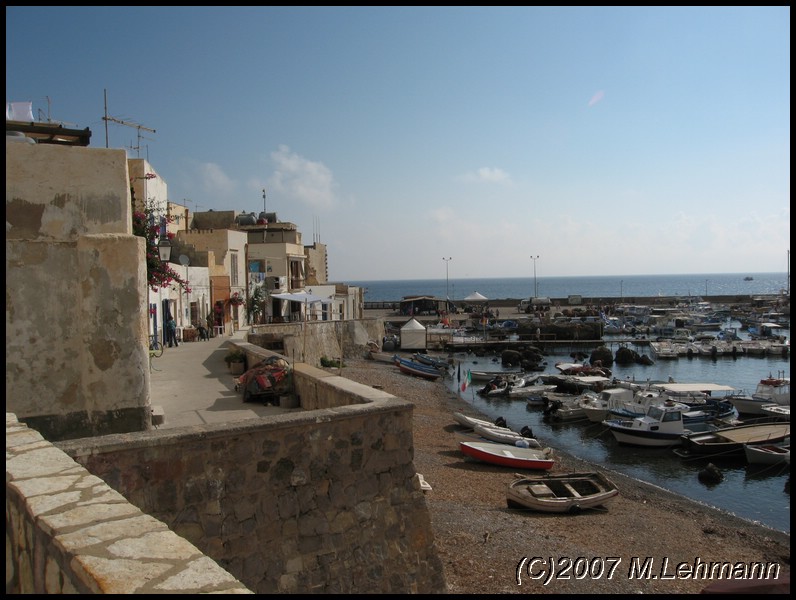 IMG_3530.JPG