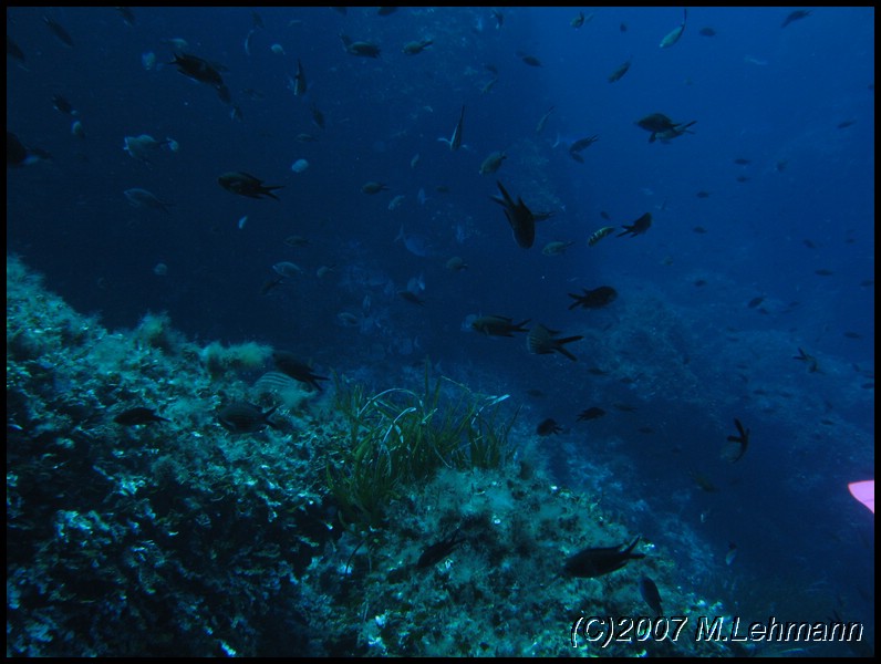 IMG_3580.JPG