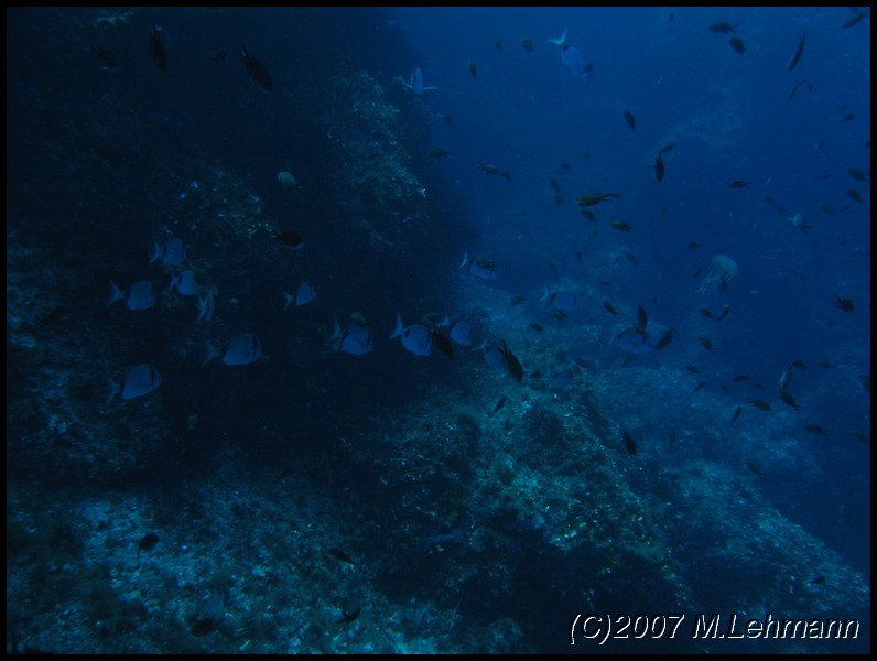 IMG_3581.JPG