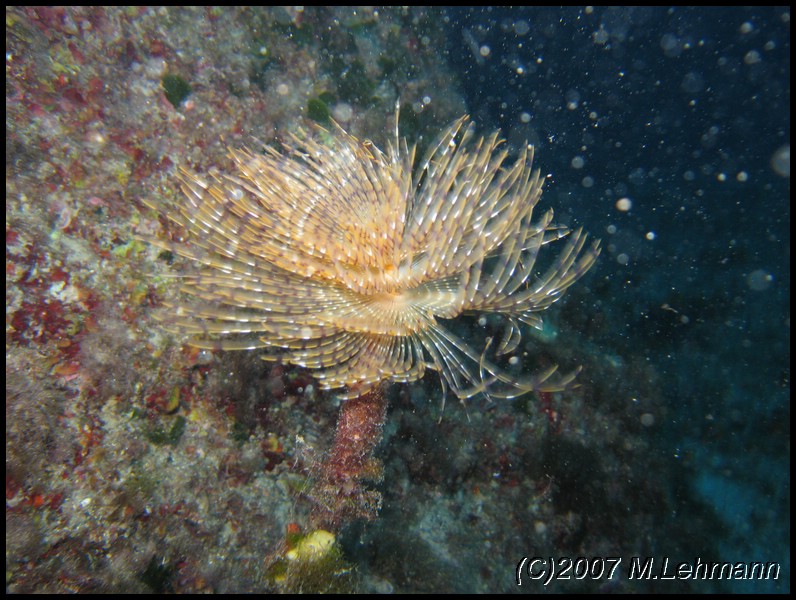 IMG_3621.JPG
