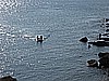 IMG_3517.JPG