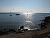 IMG_3519.JPG