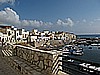 IMG_3525.JPG