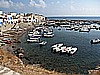 IMG_3526.JPG