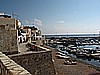 IMG_3530.JPG