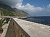 IMG_3542.JPG