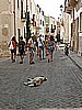 IMG_3548.JPG