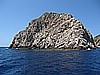 IMG_3555.JPG