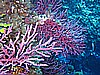 IMG_3578.JPG