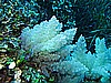 IMG_3579.JPG