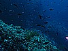 IMG_3580.JPG