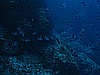 IMG_3581.JPG