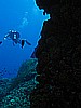 IMG_3584.JPG