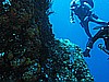 IMG_3586.JPG