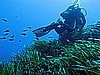 IMG_3588.JPG