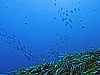 IMG_3589.JPG