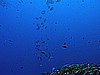 IMG_3592.JPG